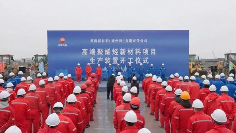 木材胶粘剂使用方法：关键步骤与注意事项